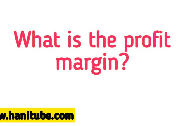 What is the profit margin?
