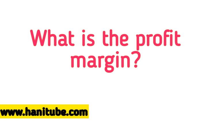What is the profit margin?